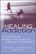 Martin / Weinberg / Bealer |  Healing Addiction | Buch |  Sack Fachmedien