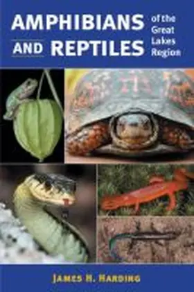 Harding |  Amphibians and Reptiles of the Great Lakes Region | Buch |  Sack Fachmedien