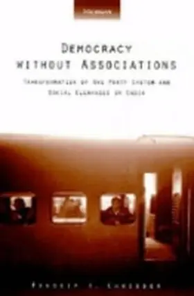 Chhibber |  Democracy without Associations | Buch |  Sack Fachmedien