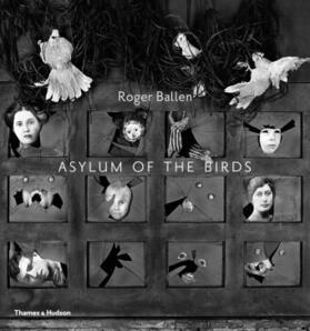 Ballen |  Asylum of the Birds | Buch |  Sack Fachmedien