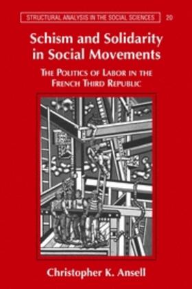 Ansell |  Schism and Solidarity in Social Movements | eBook | Sack Fachmedien