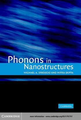 Stroscio |  Phonons in Nanostructures | eBook | Sack Fachmedien