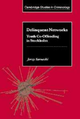 Sarnecki | Delinquent Networks | E-Book | www.sack.de