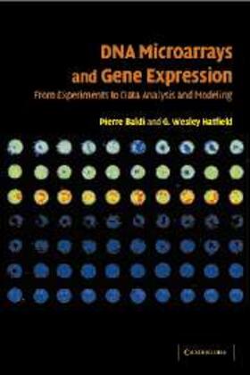 Baldi |  DNA Microarrays and Gene Expression | eBook | Sack Fachmedien