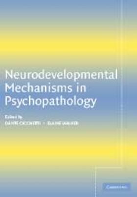 Cicchetti |  Neurodevelopmental Mechanisms in Psychopathology | eBook | Sack Fachmedien
