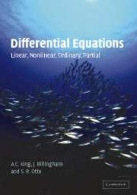 King | Differential Equations | E-Book | www.sack.de