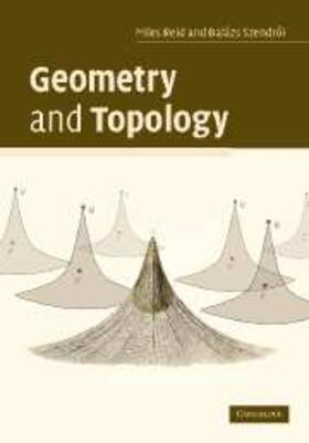 Reid |  Geometry and Topology | eBook | Sack Fachmedien