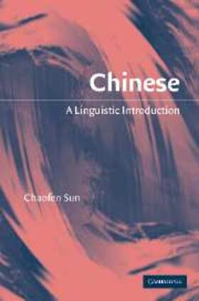Sun |  Chinese | eBook | Sack Fachmedien