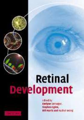 Sernagor | Retinal Development | E-Book | www.sack.de
