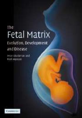 Gluckman |  Fetal Matrix: Evolution, Development and Disease | eBook | Sack Fachmedien