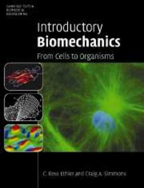 Ethier |  Introductory Biomechanics | eBook | Sack Fachmedien