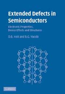 Holt |  Extended Defects in Semiconductors | eBook | Sack Fachmedien