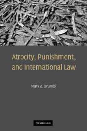 Drumbl |  Atrocity, Punishment, and International Law | eBook | Sack Fachmedien