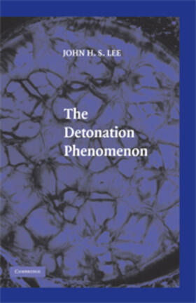 Lee |  Detonation Phenomenon | eBook | Sack Fachmedien
