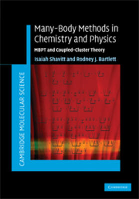 Shavitt |  Many-Body Methods in Chemistry and Physics | eBook | Sack Fachmedien