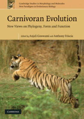 Goswami |  Carnivoran Evolution | eBook | Sack Fachmedien