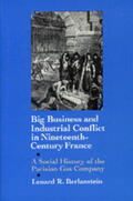 Berlanstein |  Big Business and Industrial Conflict in Nineteenth  Century France - A Social History of the Parisian  Gas Company | Buch |  Sack Fachmedien