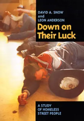 Snow / Anderson |  Down on Their Luck | Buch |  Sack Fachmedien