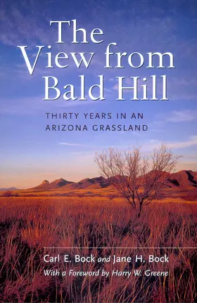Bock |  The View from Bald Hill | Buch |  Sack Fachmedien