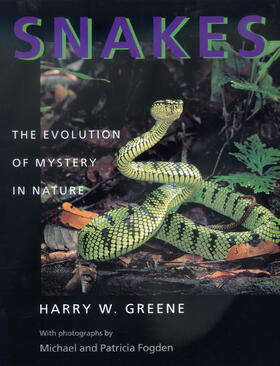Greene |  Snakes - The Evolution of Mystery in Nature | Buch |  Sack Fachmedien
