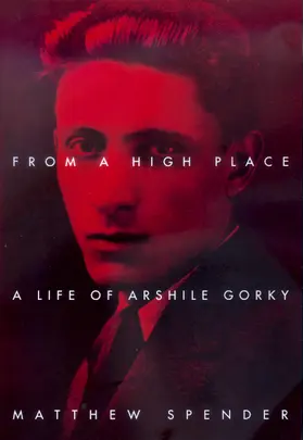 Spender |  From a High Place - A Life of Arshile Gorky | Buch |  Sack Fachmedien