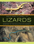 Pianka / Vitt |  Lizards | Buch |  Sack Fachmedien