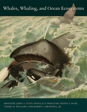 Estes / DeMaster / Doak | Whales, Whaling, and Ocean Ecosystems | Buch | 978-0-520-24884-7 | sack.de
