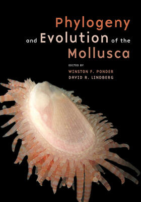 Ponder / Lindberg | Phylogeny and Evolution of the Mollusca | Buch | 978-0-520-25092-5 | sack.de