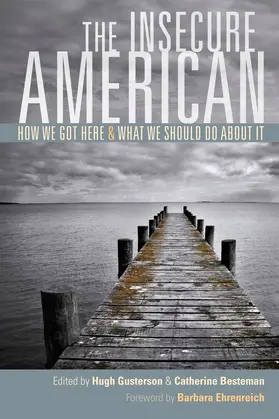 Gusterson / Besteman |  Insecure American - How We Got Here and What We Should do About | Buch |  Sack Fachmedien
