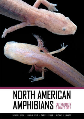 Green / Weir / Casper | North American Amphibians | Buch | 978-0-520-26672-8 | sack.de