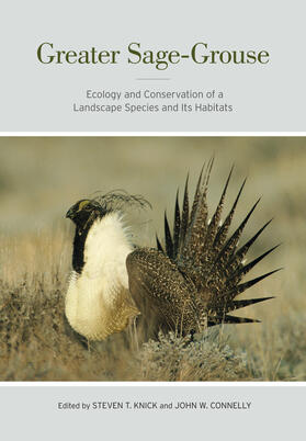 Knick / Connelly |  Greater Sage-Grouse - Ecology and Conservation of a Landscape Species and Its Habitats | Buch |  Sack Fachmedien