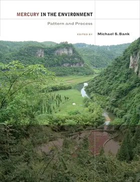 Bank |  Mercury in the Environment - Pattern and Process | Buch |  Sack Fachmedien