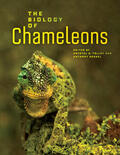 Herrel / Tolley |  The Biology of Chameleons | Buch |  Sack Fachmedien