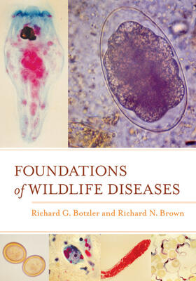 Botzler / Brown | Foundations of Wildlife Diseases | Buch | 978-0-520-27609-3 | sack.de