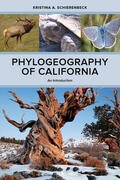 Schierenbeck |  Phylogeography of California - An Introduction | Buch |  Sack Fachmedien