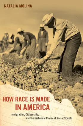 Molina | How Race Is Made in America | Buch | 978-0-520-28008-3 | www.sack.de