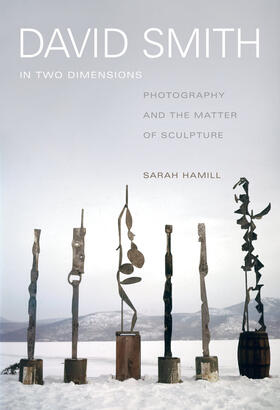 Hamill | David Smith in Two Dimensions | Buch | 978-0-520-28034-2 | sack.de