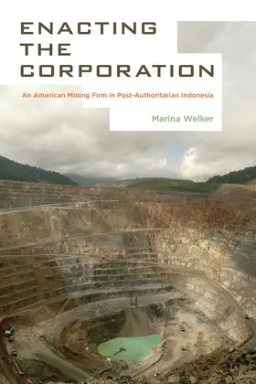 Welker | Enacting the Corporation | Buch | 978-0-520-28231-5 | www.sack.de