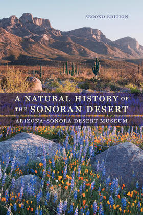 Phillips / Comus / Dimmitt | A Natural History of the Sonoran Desert | Buch | 978-0-520-28747-1 | sack.de