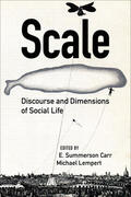 Carr / Lempert |  Scale - Discourse and Dimensions of Social Life | Buch |  Sack Fachmedien