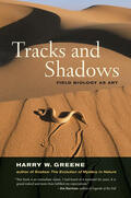 Greene |  Tracks and Shadows | Buch |  Sack Fachmedien