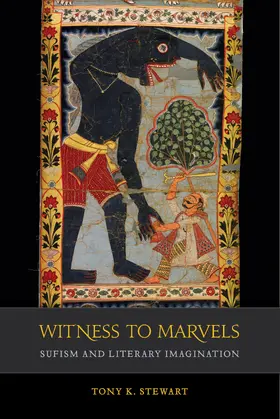 Stewart |  Witness to Marvels | Buch |  Sack Fachmedien
