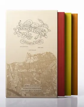Jelly-Schapiro / Solnit / Snedeker |  Infinite Cities | Buch |  Sack Fachmedien