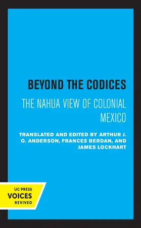 Anderson / Berdan / Lockhart |  Beyond the Codices | Buch |  Sack Fachmedien