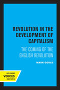 Gould |  Revolution in the Development of Capitalism | eBook | Sack Fachmedien