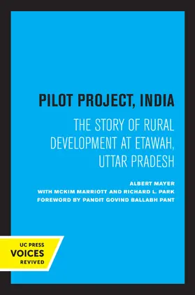 Mayer |  Pilot Project, India | Buch |  Sack Fachmedien