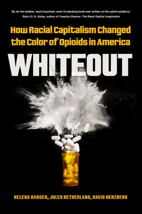 Hansen / Netherland / Herzberg |  Whiteout | Buch |  Sack Fachmedien