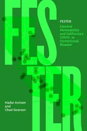 Aviram |  Fester | eBook | Sack Fachmedien
