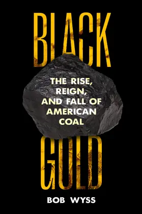 Wyss |  Black Gold | Buch |  Sack Fachmedien
