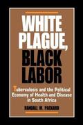 Packard |  White Plague, Black Labor | eBook | Sack Fachmedien